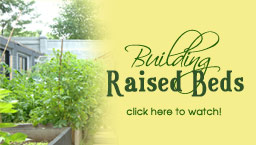 Building a Raised Bed in an Urban Setting
